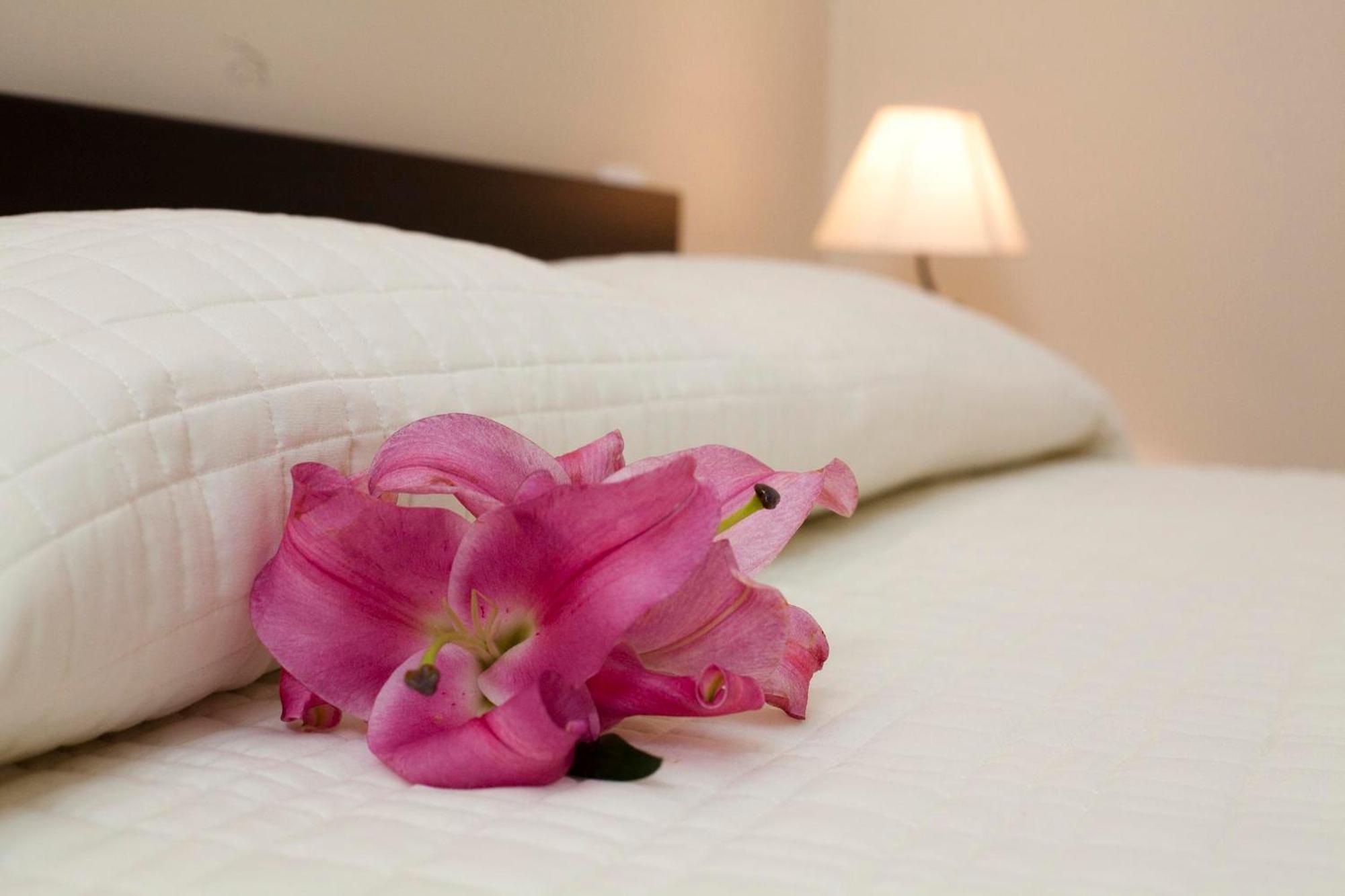 Bed & Breakfast Antiche Volte Catania